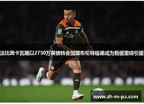 法比奥卡瓦略以2750万英镑转会加盟布伦特福德成为新援重磅引援